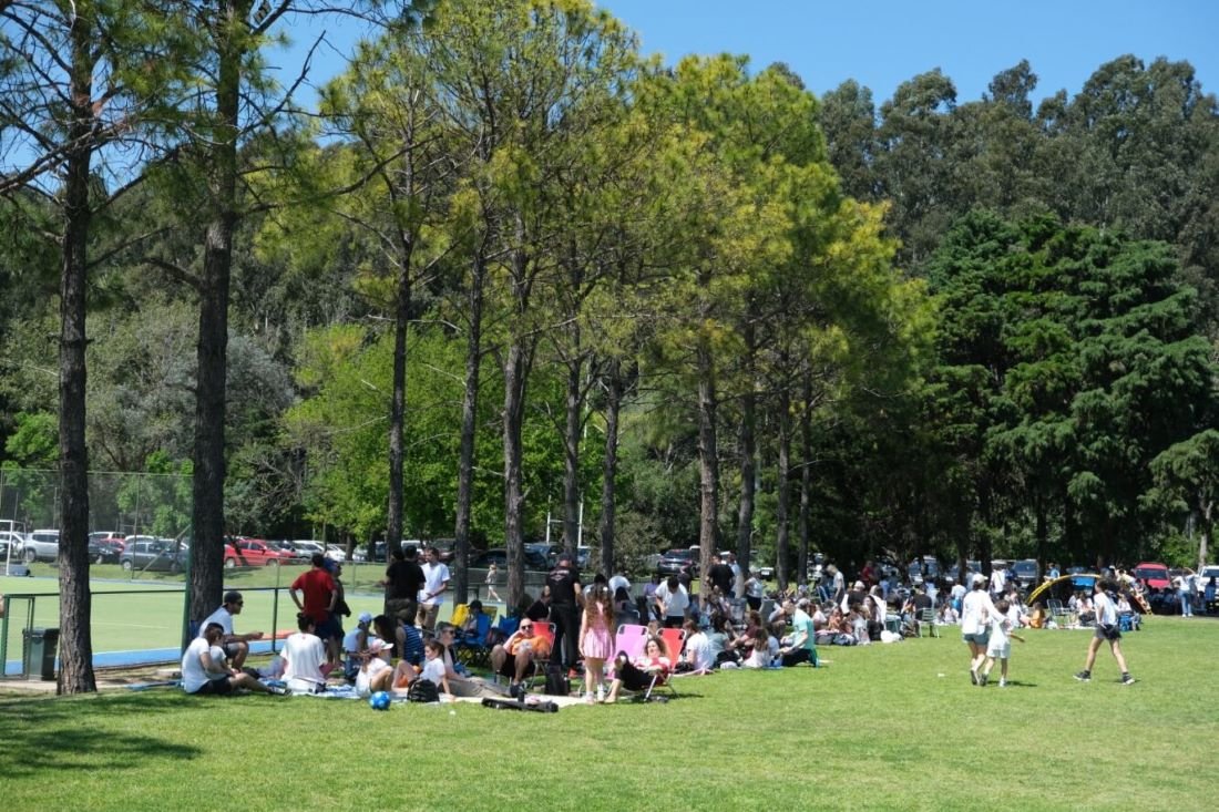Campo de deportes Balmoral - vista principal